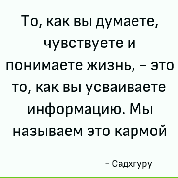 То, как вы думаете, чувствуете и понимаете жизнь, - это то, как вы усваиваете информацию. Мы называем это кармой