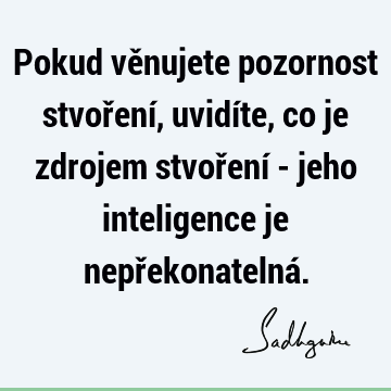 Pokud věnujete pozornost stvoření, uvidíte, co je zdrojem stvoření - jeho inteligence je nepřekonatelná