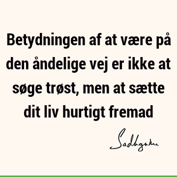 Betydningen af at være på den åndelige vej er ikke at søge trøst, men at sætte dit liv hurtigt