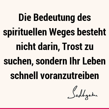 Die Bedeutung des spirituellen Weges besteht nicht darin, Trost zu suchen, sondern Ihr Leben schnell