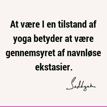 At være i en tilstand af yoga betyder at være gennemsyret af navnløse