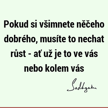 Pokud si všimnete něčeho dobrého, musíte to nechat růst - ať už je to ve vás nebo kolem vá