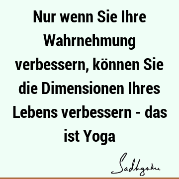 Nur wenn Sie Ihre Wahrnehmung verbessern, können Sie die Dimensionen Ihres Lebens verbessern - das ist Y