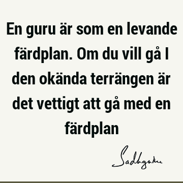 En guru är som en levande färdplan. Om du vill gå i den okända terrängen är det vettigt att gå med en fä