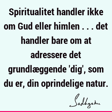 Spiritualitet handler ikke om Gud eller himlen ... det handler bare om at adressere det grundlæggende 