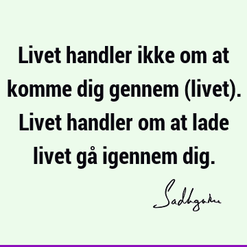 Livet handler ikke om at komme dig gennem (livet). Livet handler om at lade livet gå igennem