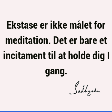 Ekstase er ikke målet for meditation. Det er bare et incitament til at holde dig i