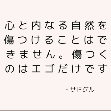 心と内なる自然を傷つけることはできません。 傷つくのはエゴだけです