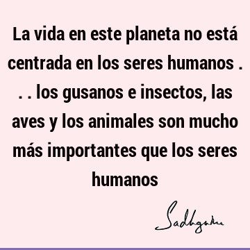 La vida en este planeta no está centrada en los seres humanos ... los gusanos e insectos, las aves y los animales son mucho más importantes que los seres