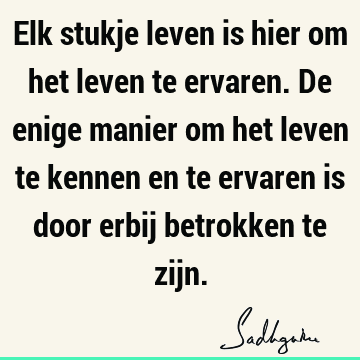 Elk stukje leven is hier om het leven te ervaren. De enige manier om het leven te kennen en te ervaren is door erbij betrokken te