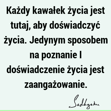 Każdy kawałek życia jest tutaj, aby doświadczyć życia. Jedynym sposobem na poznanie i doświadczenie życia jest zaangaż