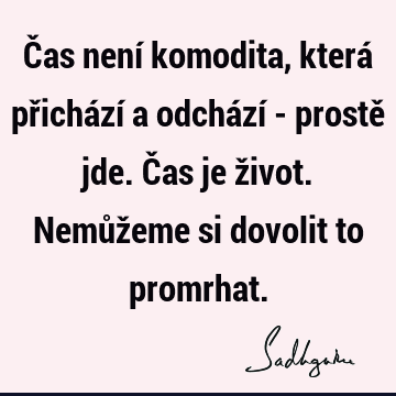 Čas není komodita, která přichází a odchází - prostě jde. Čas je život. Nemůžeme si dovolit to