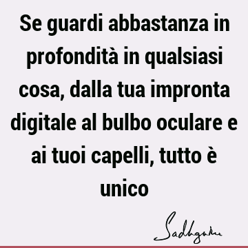 Se guardi abbastanza in profondità in qualsiasi cosa, dalla tua impronta digitale al bulbo oculare e ai tuoi capelli, tutto è