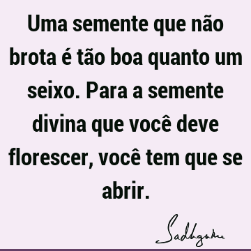 Uma semente que não brota é tão boa quanto um seixo. Para a semente divina que você deve florescer, você tem que se