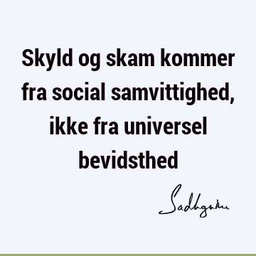 Skyld og skam kommer fra social samvittighed, ikke fra universel