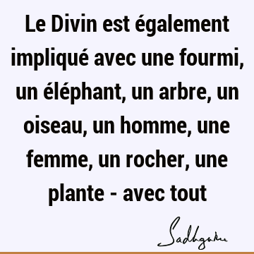 Le Divin est également impliqué avec une fourmi, un éléphant, un arbre, un oiseau, un homme, une femme, un rocher, une plante - avec