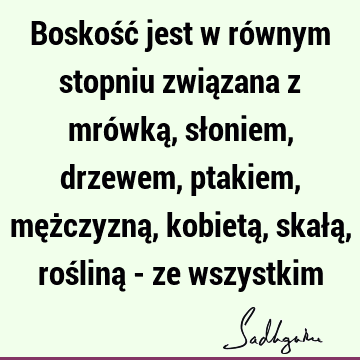 Boskość jest w równym stopniu związana z mrówką, słoniem, drzewem, ptakiem, mężczyzną, kobietą, skałą, rośliną - ze