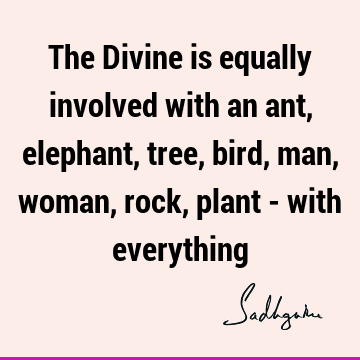 The Divine is equally involved with an ant, elephant, tree, bird, man, woman, rock, plant - with