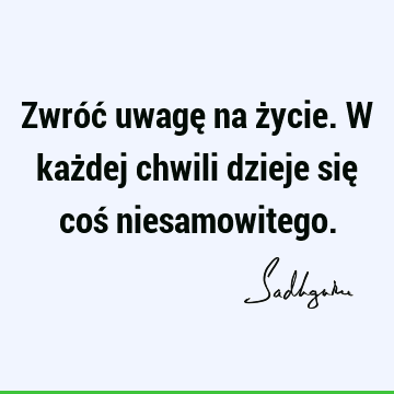 Zwróć uwagę na życie. W każdej chwili dzieje się coś