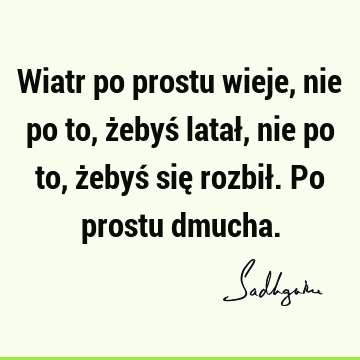 Wiatr po prostu wieje, nie po to, żebyś latał, nie po to, żebyś się rozbił. Po prostu