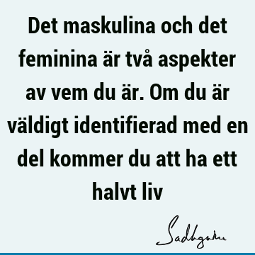 Det maskulina och det feminina är två aspekter av vem du är. Om du är väldigt identifierad med en del kommer du att ha ett halvt