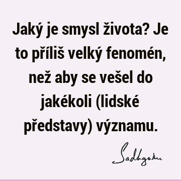 Jaký je smysl života? Je to příliš velký fenomén, než aby se vešel do jakékoli (lidské představy) vý