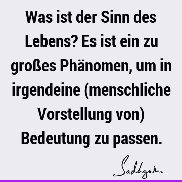 Was ist der Sinn des Lebens? Es ist ein zu großes Phänomen, um in irgendeine (menschliche Vorstellung von) Bedeutung zu