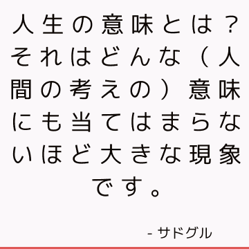 人生の意味とは？ それはどんな（人間の考えの）意味にも当てはまらないほど大きな現象です。