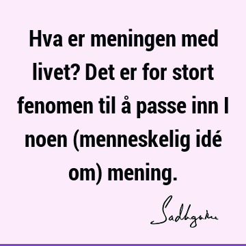 Hva er meningen med livet? Det er for stort fenomen til å passe inn i noen (menneskelig idé om)