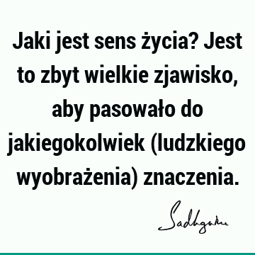 Jaki jest sens życia? Jest to zbyt wielkie zjawisko, aby pasowało do jakiegokolwiek (ludzkiego wyobrażenia)