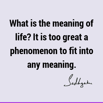 What is the meaning of life? It is too great a phenomenon to fit into any