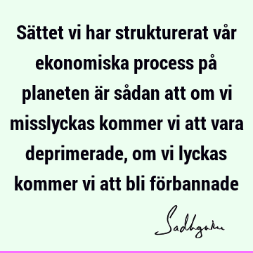 Sättet vi har strukturerat vår ekonomiska process på planeten är sådan att om vi misslyckas kommer vi att vara deprimerade, om vi lyckas kommer vi att bli fö