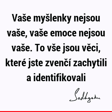 Vaše myšlenky nejsou vaše, vaše emoce nejsou vaše. To vše jsou věci, které jste zvenčí zachytili a