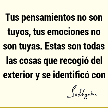 Tus pensamientos no son tuyos, tus emociones no son tuyas. Estas son todas las cosas que recogió del exterior y se identificó