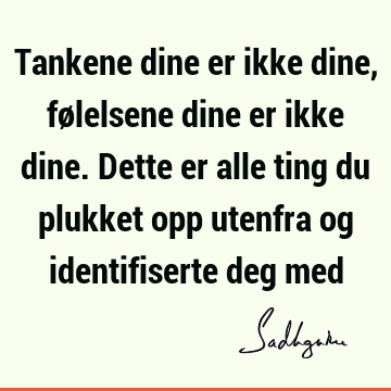 Tankene dine er ikke dine, følelsene dine er ikke dine. Dette er alle ting du plukket opp utenfra og identifiserte deg