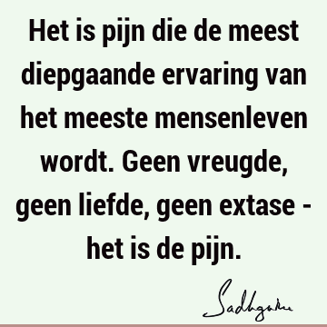 Het is pijn die de meest diepgaande ervaring van het meeste mensenleven wordt. Geen vreugde, geen liefde, geen extase - het is de