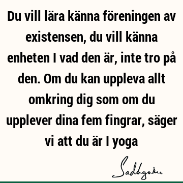 Du vill lära känna föreningen av existensen, du vill känna enheten i vad den är, inte tro på den. Om du kan uppleva allt omkring dig som om du upplever dina