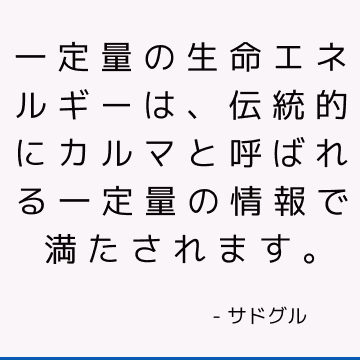 一定量の生命エネルギーは、伝統的にカルマと呼ばれる一定量の情報で満たされます。