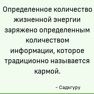 Определенное количество жизненной энергии заряжено определенным количеством информации, которое традиционно называется кармой