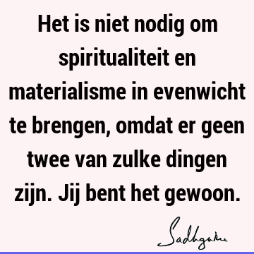 Het is niet nodig om spiritualiteit en materialisme in evenwicht te brengen, omdat er geen twee van zulke dingen zijn. Jij bent het