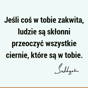 Jeśli coś w tobie zakwita, ludzie są skłonni przeoczyć wszystkie ciernie, które są w