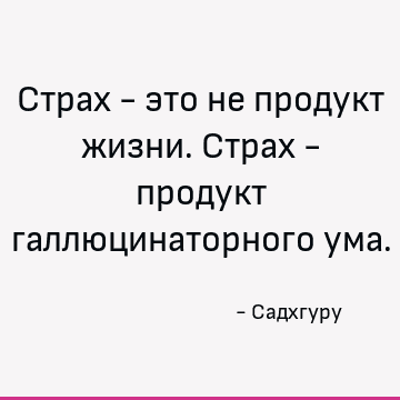 Страх - это не продукт жизни. Страх - продукт галлюцинаторного ума