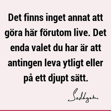 Det finns inget annat att göra här förutom live. Det enda valet du har är att antingen leva ytligt eller på ett djupt sä