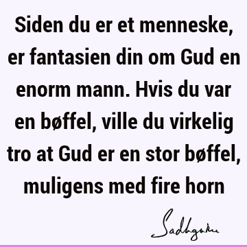 Siden du er et menneske, er fantasien din om Gud en enorm mann. Hvis du var en bøffel, ville du virkelig tro at Gud er en stor bøffel, muligens med fire