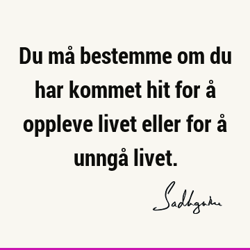 Du må bestemme om du har kommet hit for å oppleve livet eller for å unngå