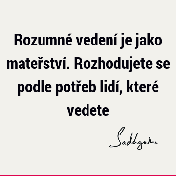 Rozumné vedení je jako mateřství. Rozhodujete se podle potřeb lidí, které