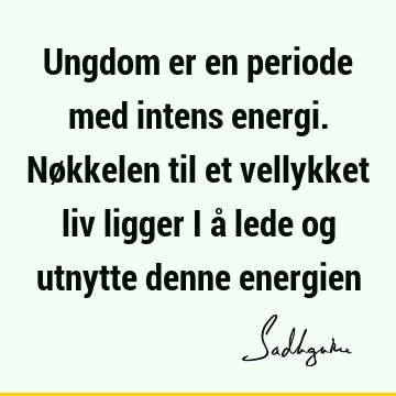 Ungdom er en periode med intens energi. Nøkkelen til et vellykket liv ligger i å lede og utnytte denne