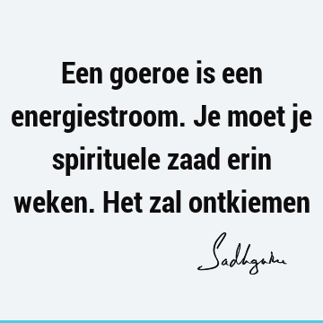 Een goeroe is een energiestroom. Je moet je spirituele zaad erin weken. Het zal