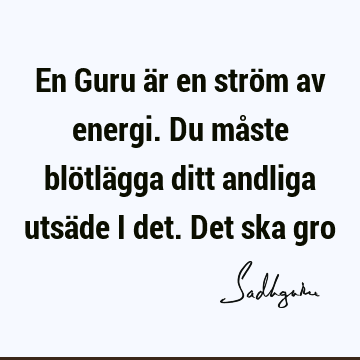 En Guru är en ström av energi. Du måste blötlägga ditt andliga utsäde i det. Det ska