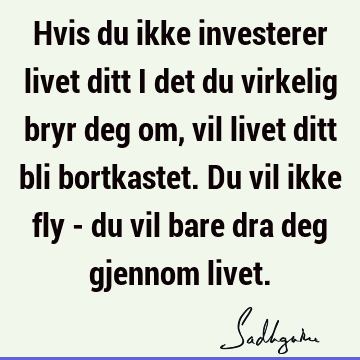 Hvis du ikke investerer livet ditt i det du virkelig bryr deg om, vil livet ditt bli bortkastet. Du vil ikke fly - du vil bare dra deg gjennom